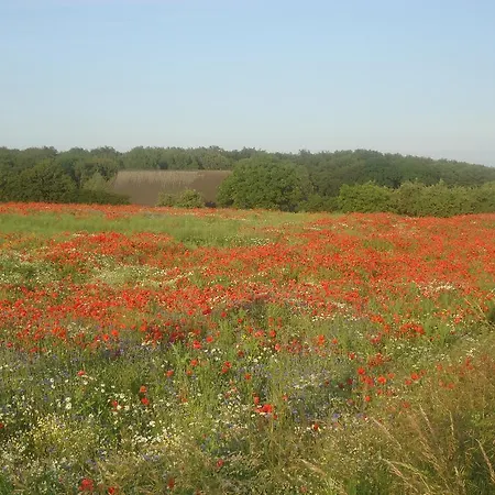 Appartementhaus Alter Speicher *
